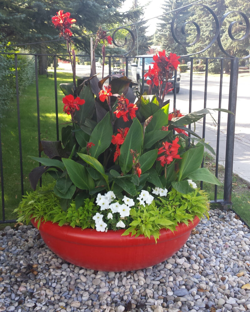 flower-feature-calgary-landscaping flower-feature-calgary-landscaping